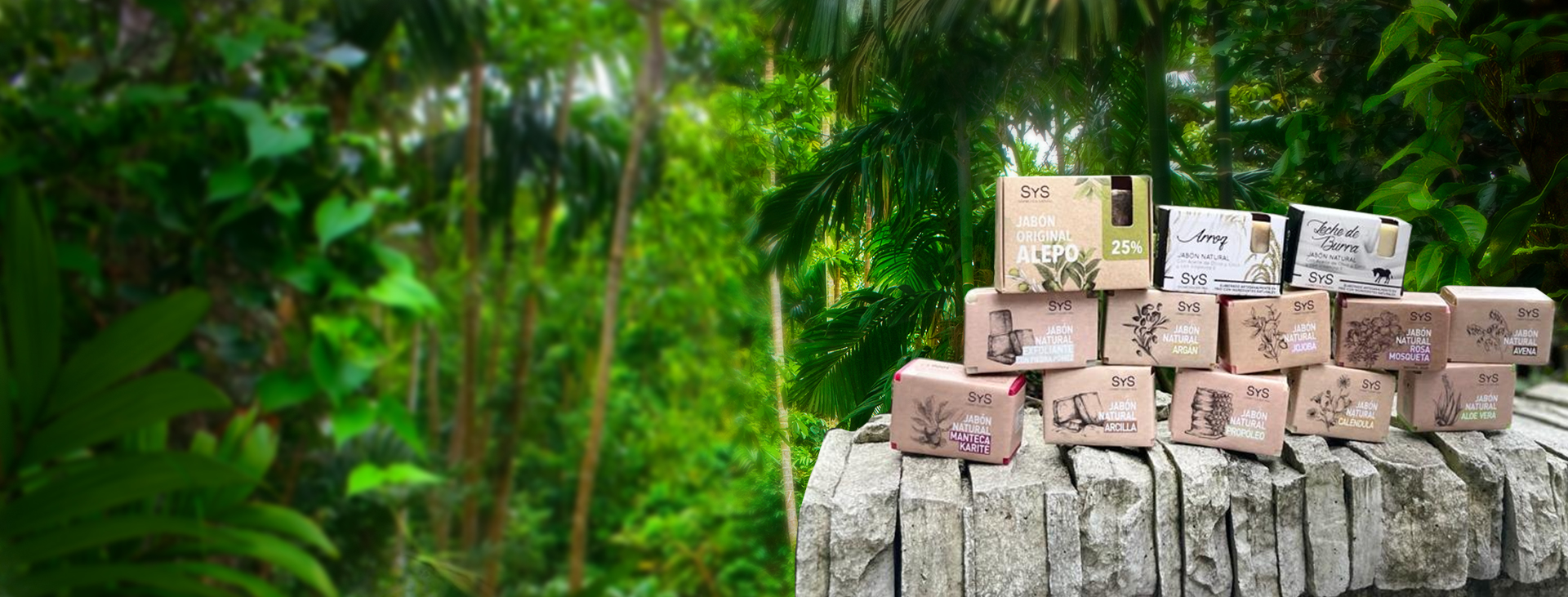 Soap Bar