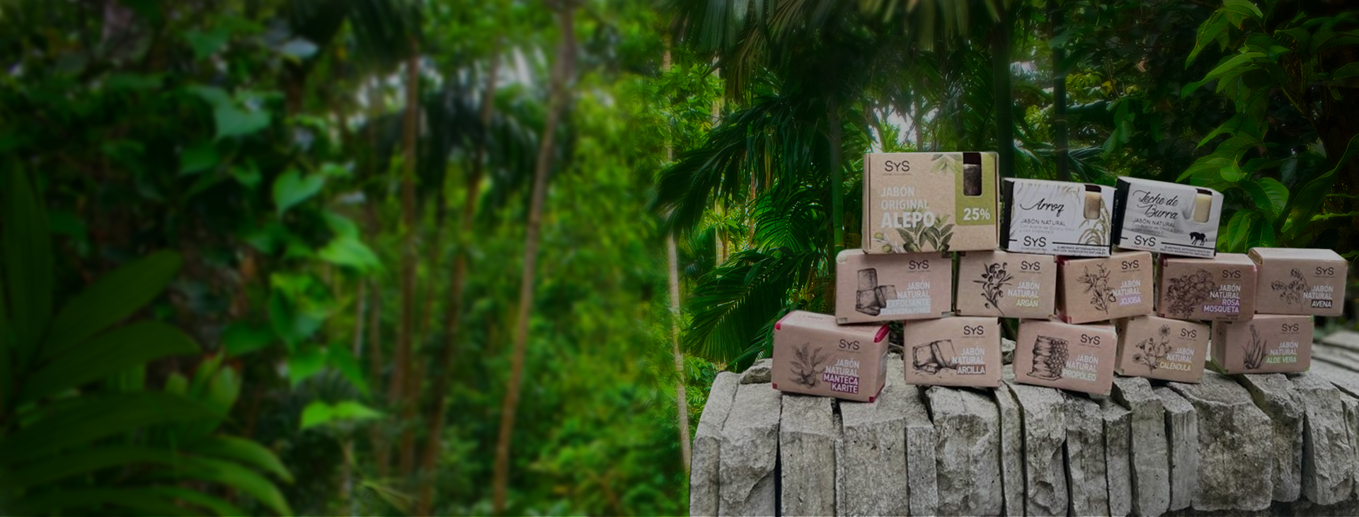 Soap Bar